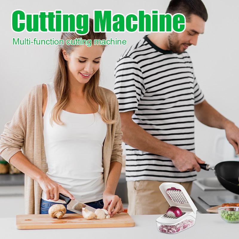 Multifunctional Dicer