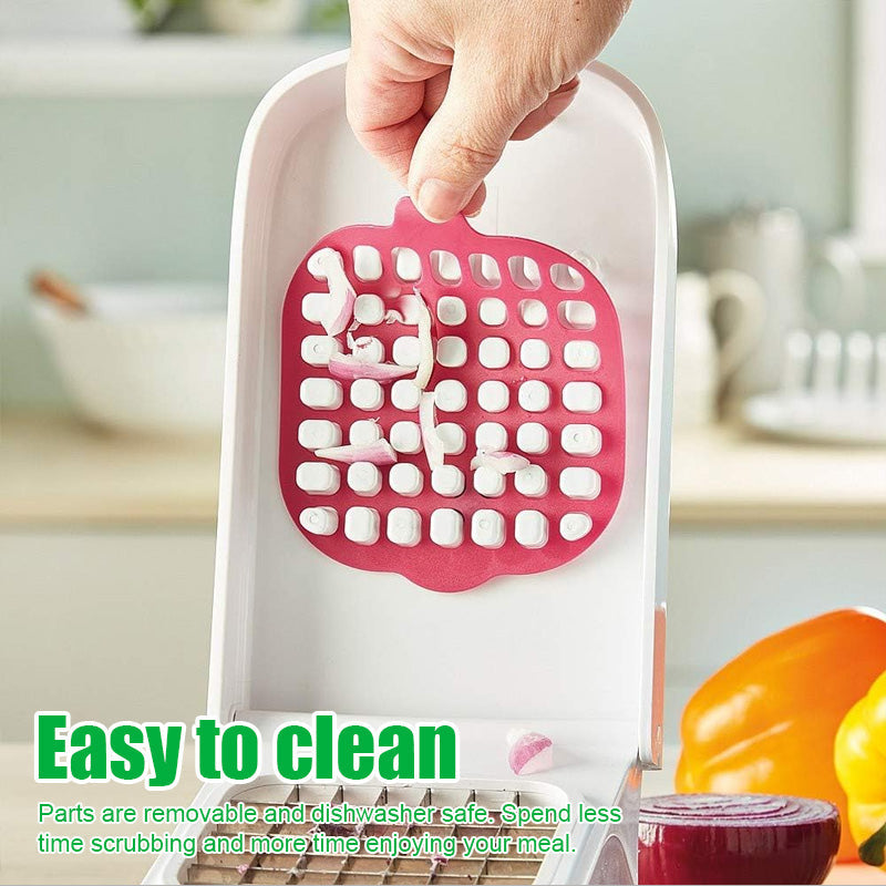Multifunctional Dicer