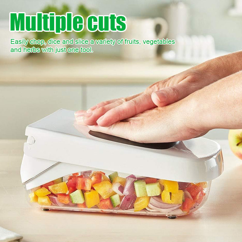 Multifunctional Dicer