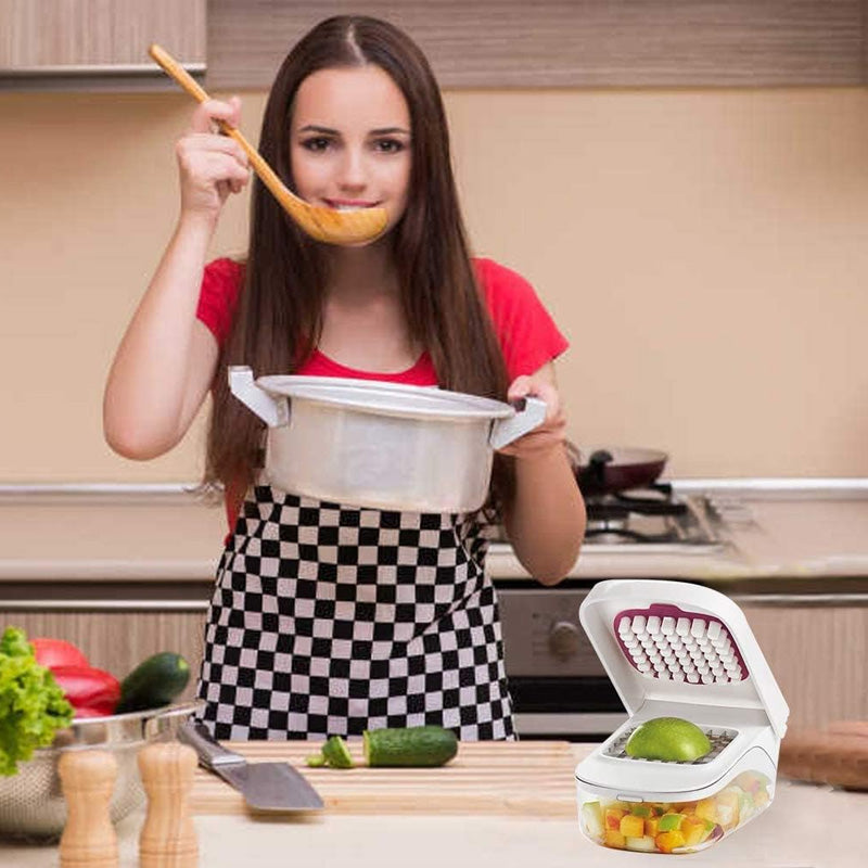 Multifunctional Dicer