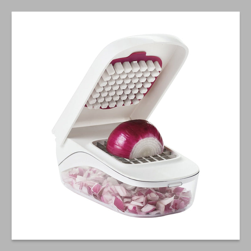 Multifunctional Dicer